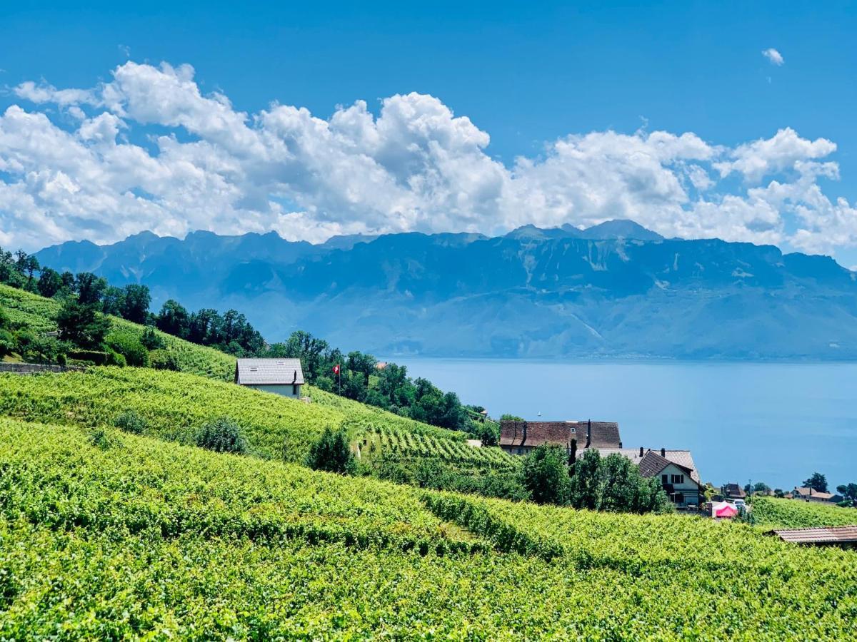 Hotel #Lavaux Lutry Exterior foto
