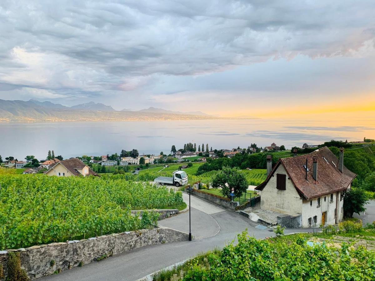 Hotel #Lavaux Lutry Exterior foto