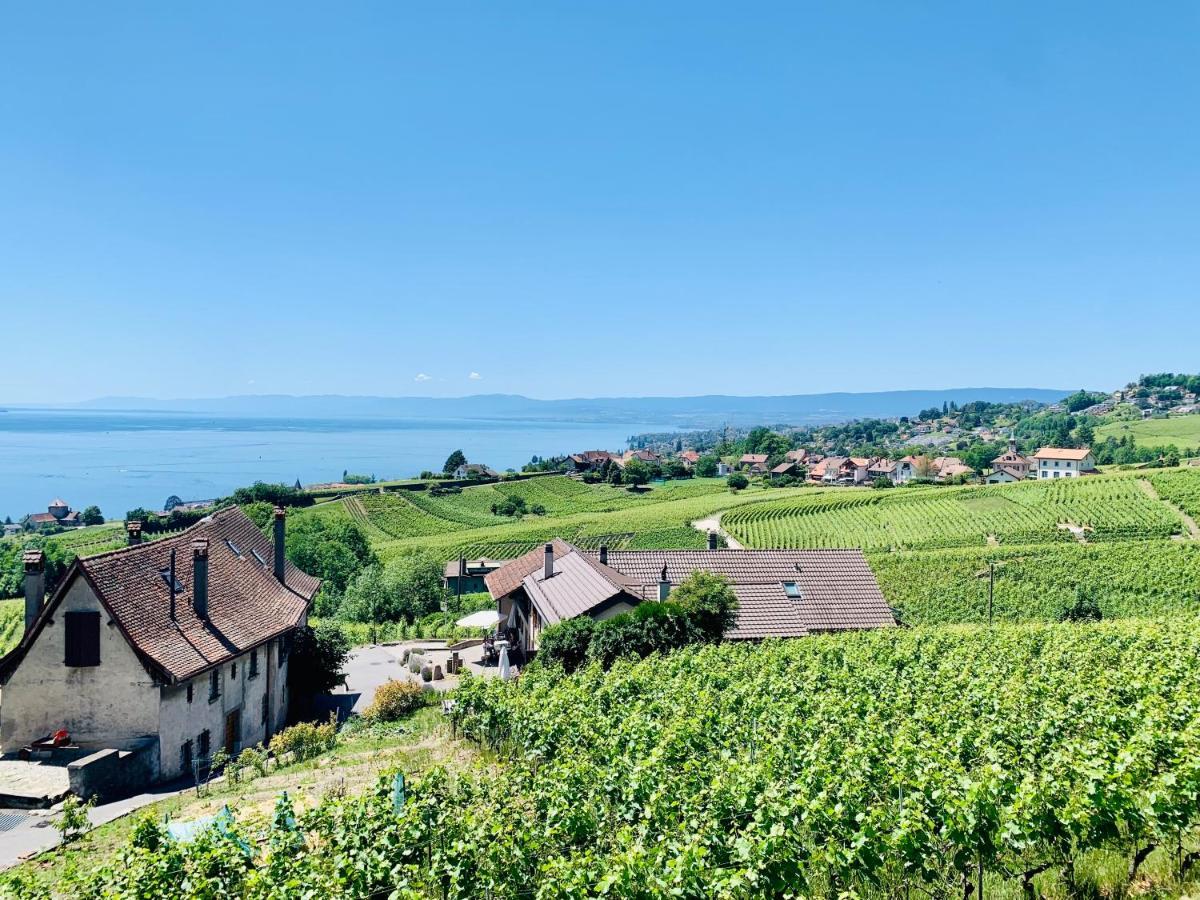 Hotel #Lavaux Lutry Exterior foto